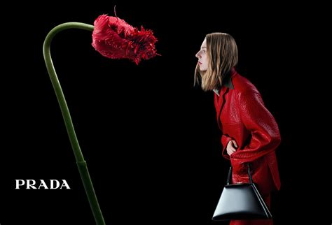 prada ad campaign|prada loyalty program.